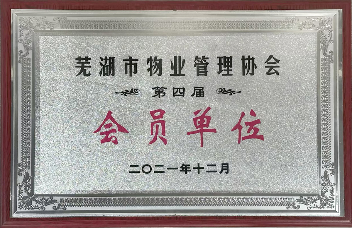 02.jpg